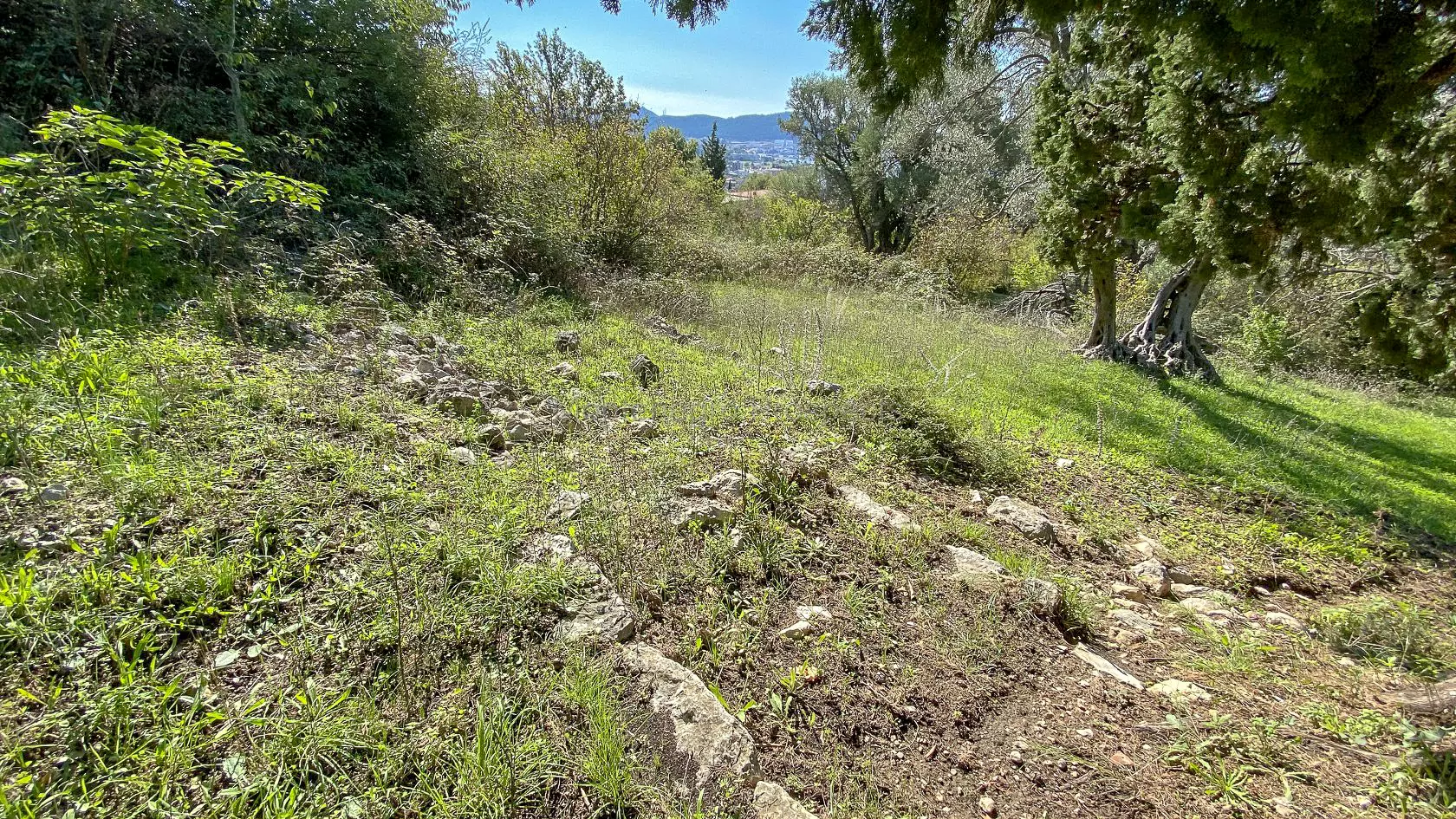Plac sa rusevinom u susanj 3436 7