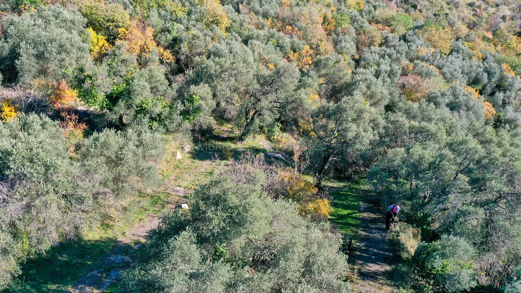 Land in rezevici budva 8098 1