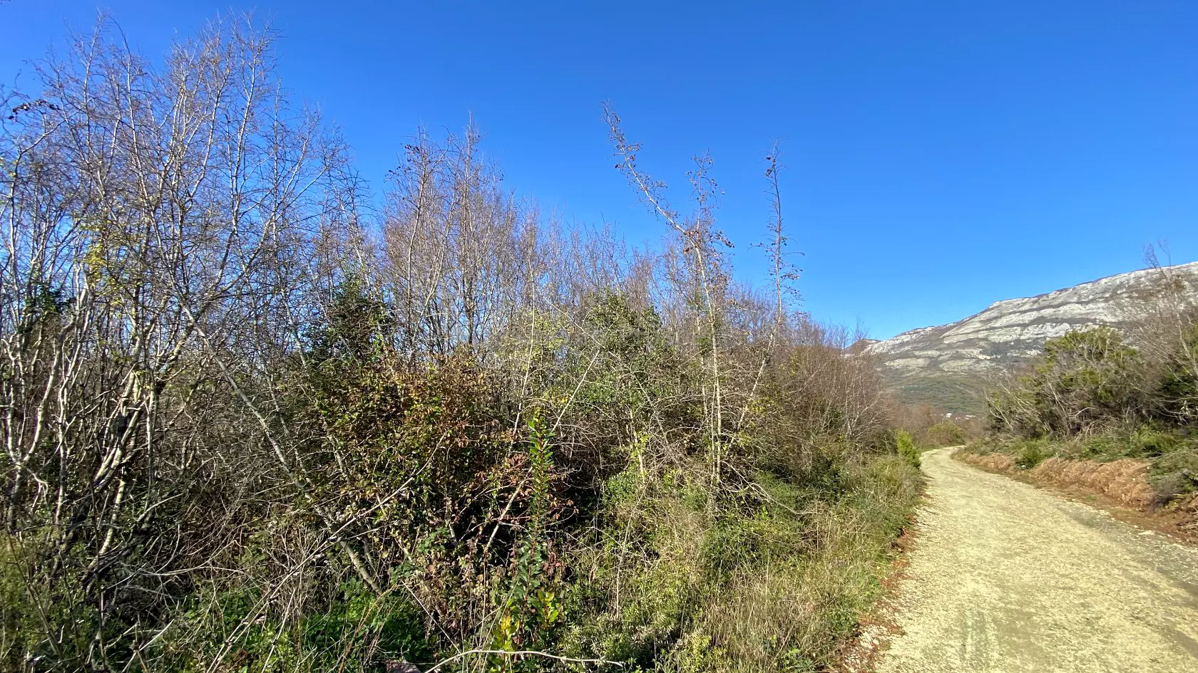 Prodazha 94sotok ryadom s morem bulyarica 10304 4