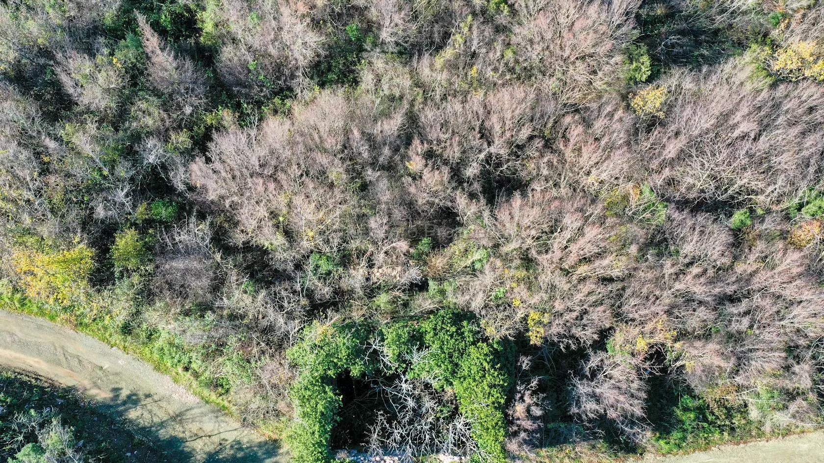 Prodazha 94sotok ryadom s morem bulyarica 10304 5