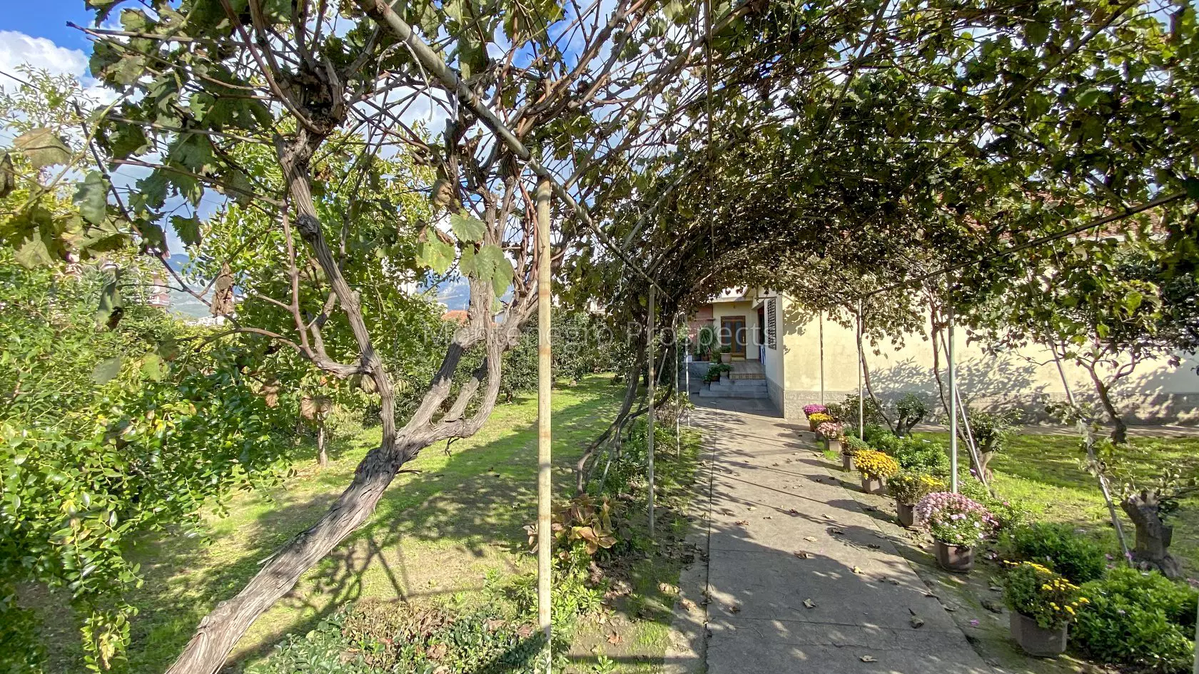 Uchastki v bare pod stroitelstvo 10310 6
