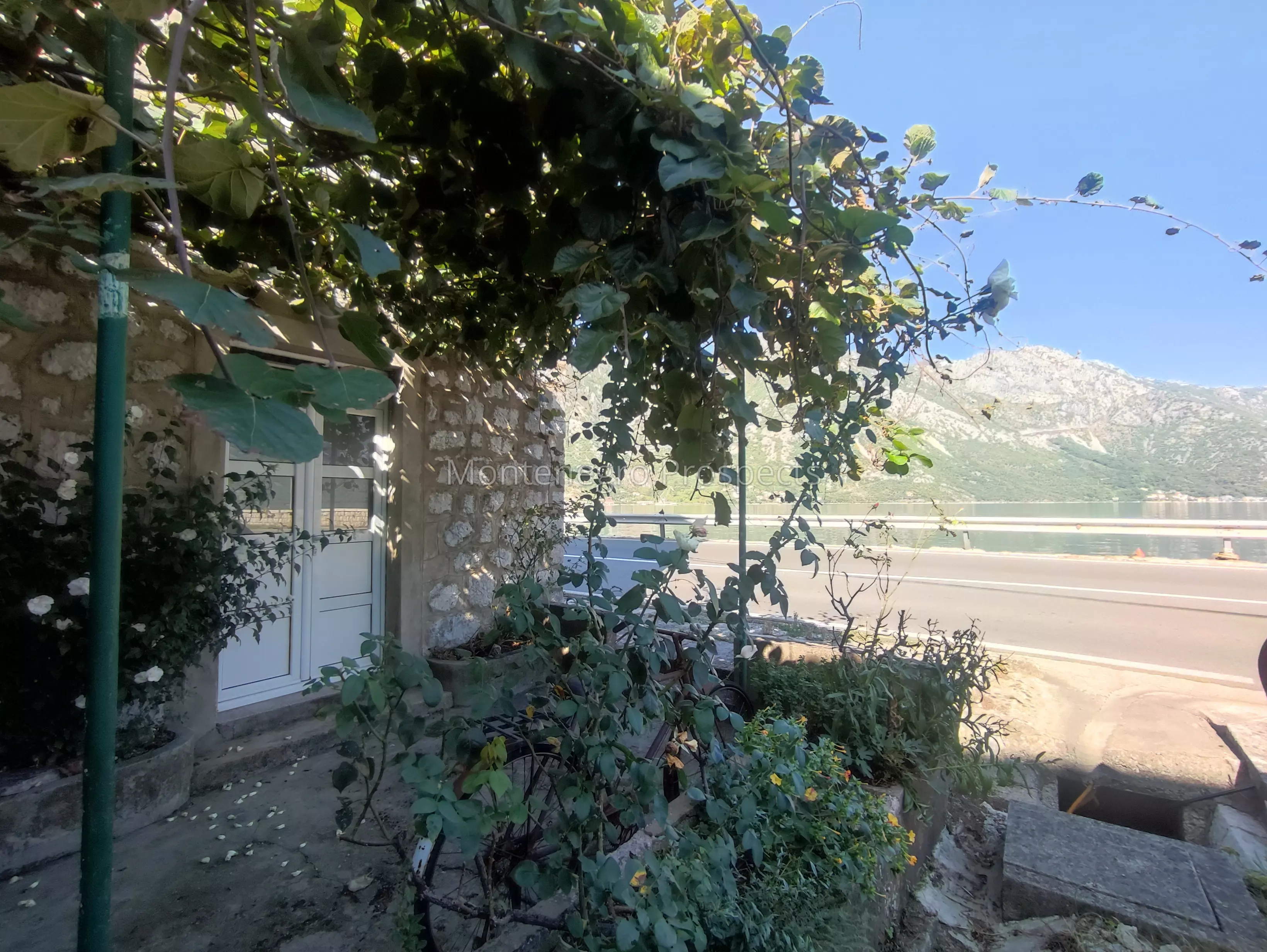 Img 20231004 112725