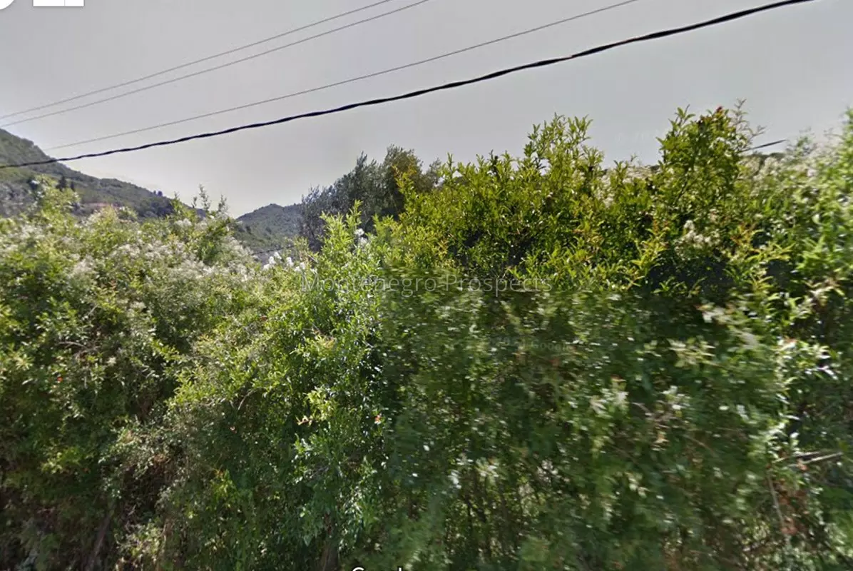 12673 plac buljarica 1 1196x800