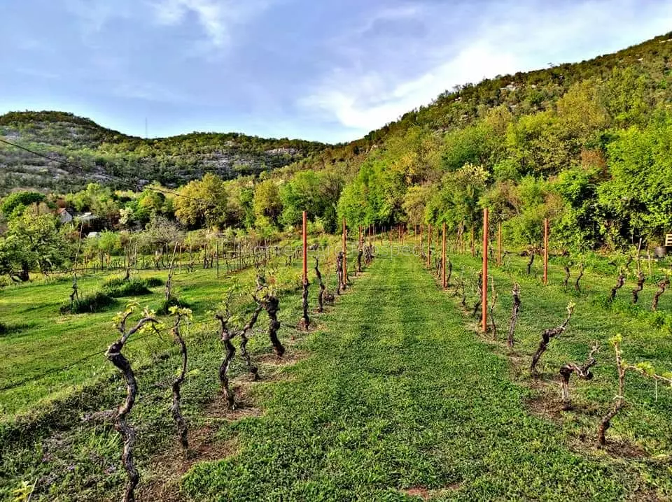 14160 large estate near the lake skadar 41