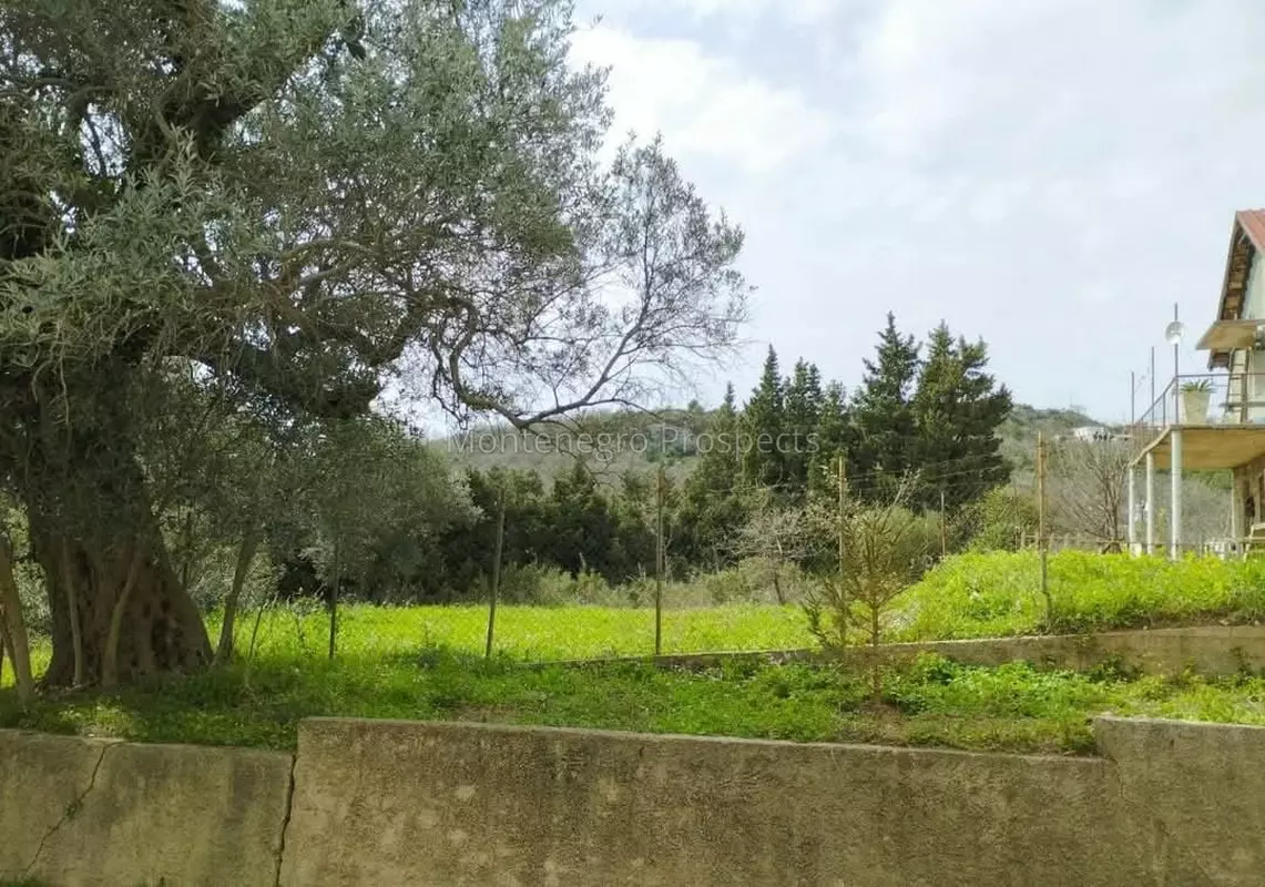 77085 kuca bar 10 1141x800
