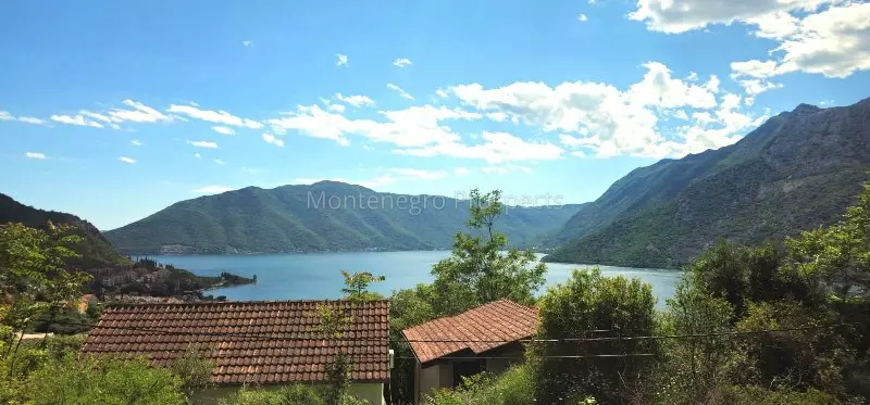 Img 20250526 wa0000 800x373