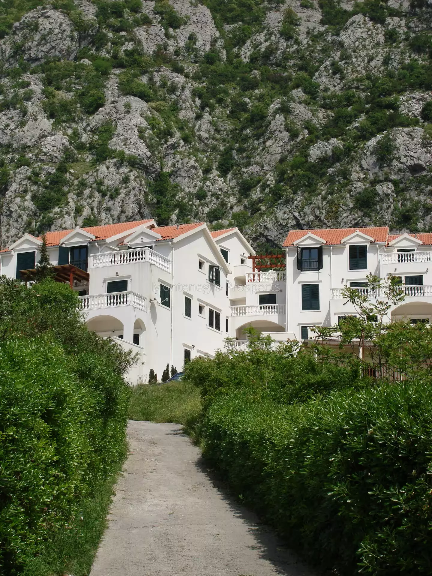 14179 dobrota apartment for sale 4