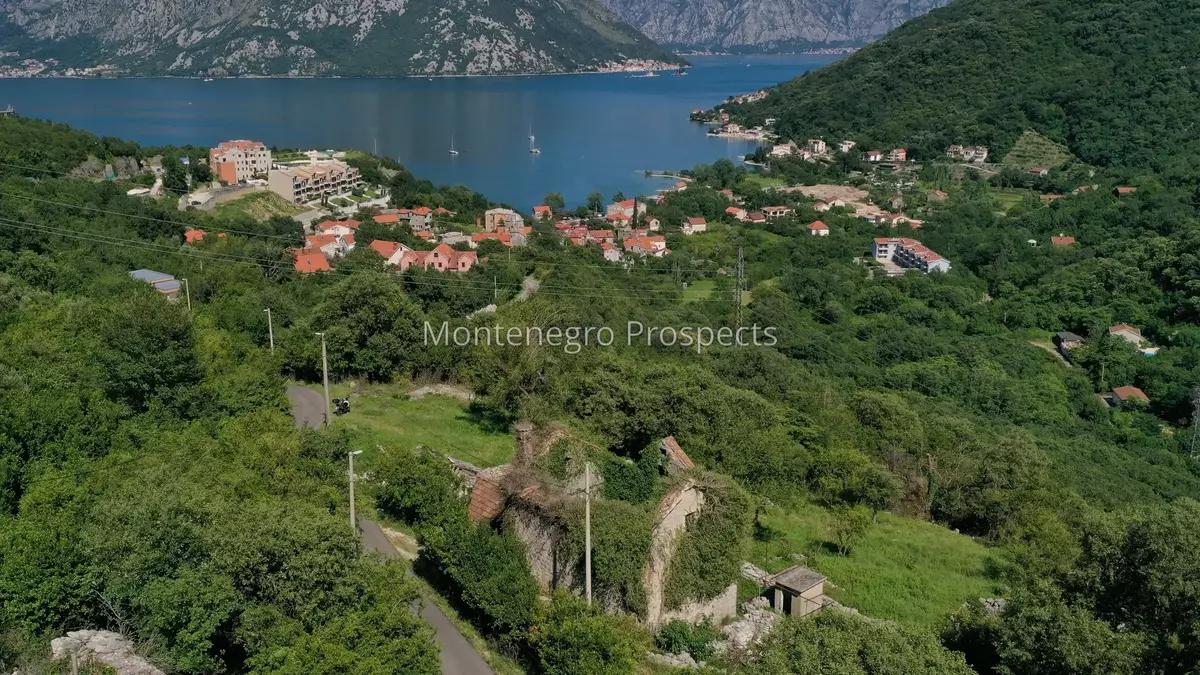 14148 morinj project 6.jpg