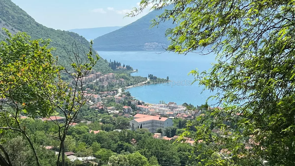14072 risan plot with perfect views 6