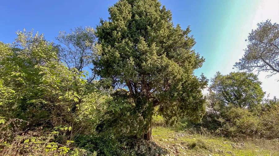 Plac sa rusevinom u susanj 3436 3