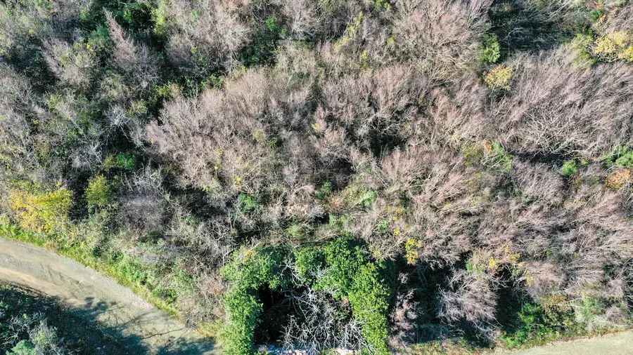 Prodazha 94sotok ryadom s morem bulyarica 10304 5
