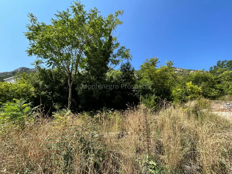 Plot for sale 13512 3