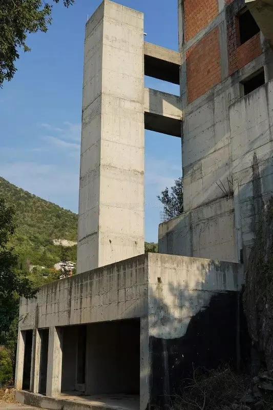 Photo 2024 11 06 12 26 37 533x800