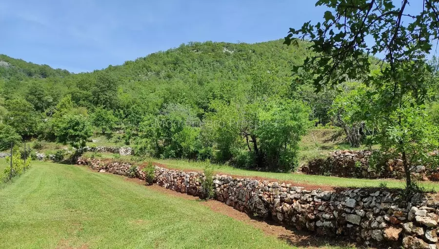 14160 large estate near the lake skadar 58